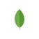 MongoDB logo